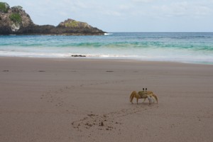 Fernando de Noronha