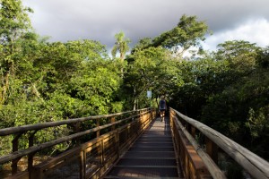 Nationalpark Iguazú