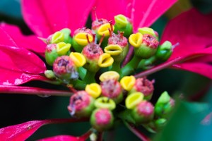 IMG_8316