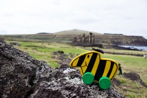 IMG_1525
