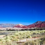 IMG_9689